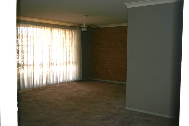 Neat and Tidy Picture 3