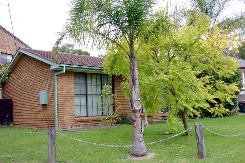 Family Home - Opposite Lake Macquarie Picture