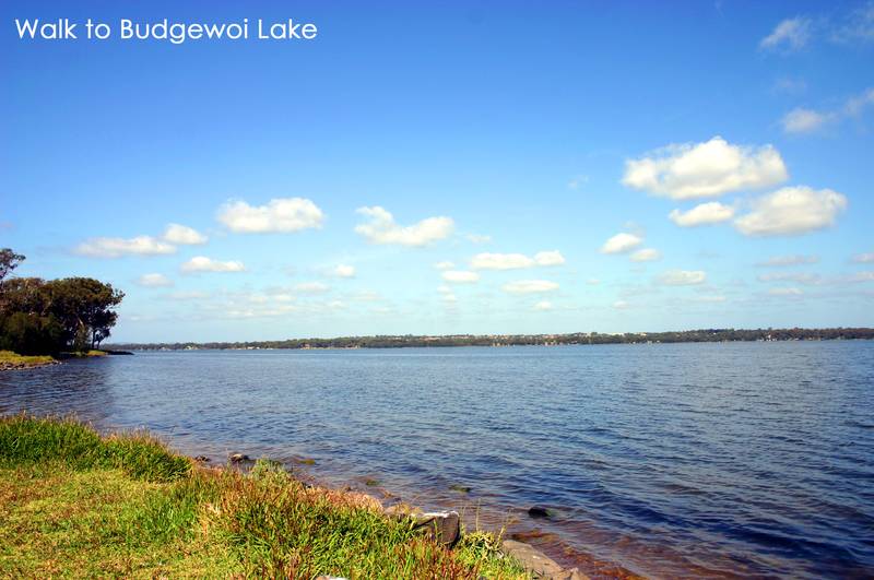 Brand New Home Picture 2