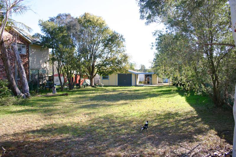 Easy building Land with Cabin Picture 1