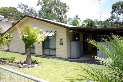 Summer Sizzle Picture