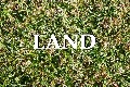 Vacant Land - Dual Occupancy Potential Picture Vacant Land - Dual Occupancy Potential Picture