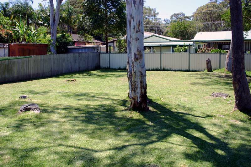 Neat as a Pin with spacious fenced yard Picture 2