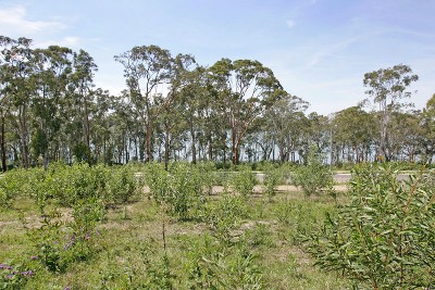 Top Spot - Top Block Picture Top Spot - Top Block Picture