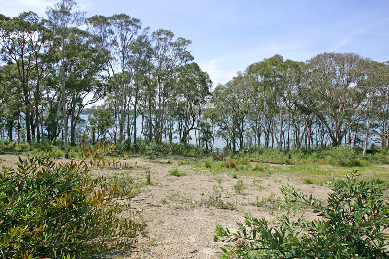 Waterfront Vacant Land Picture 1