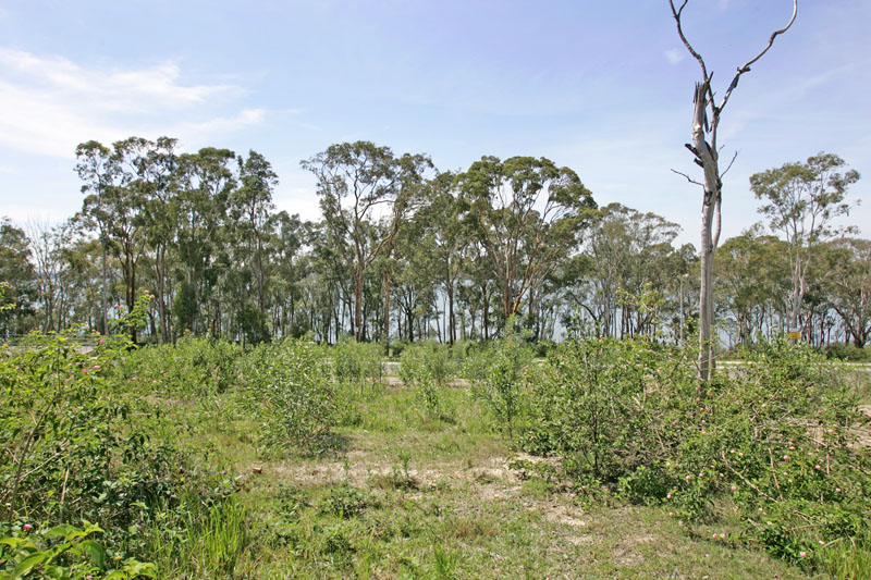 Build Your Dream House Picture 1