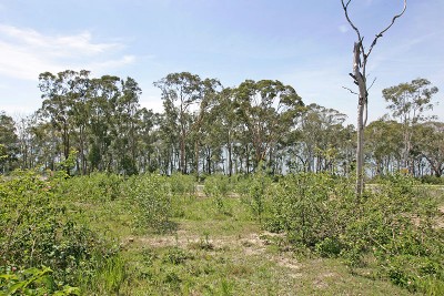 Build Your Dream House Picture