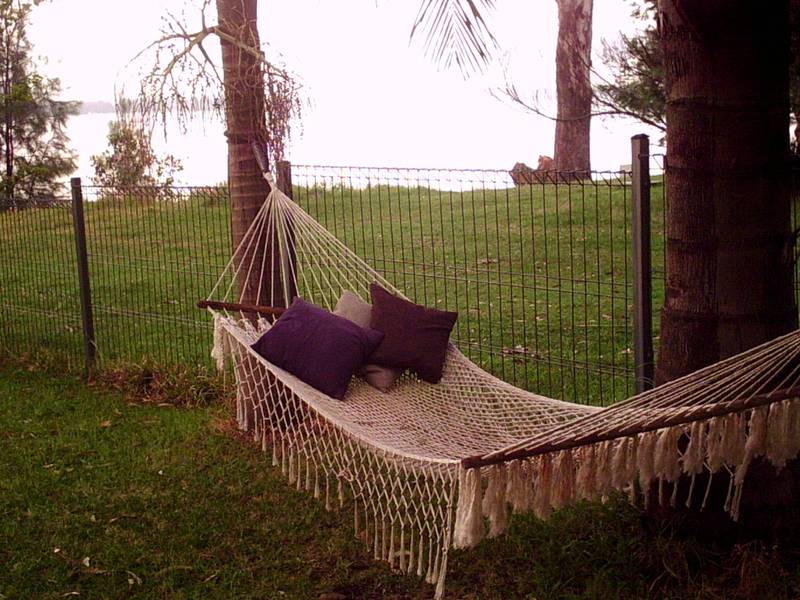 Holiday Oasis Picture 1