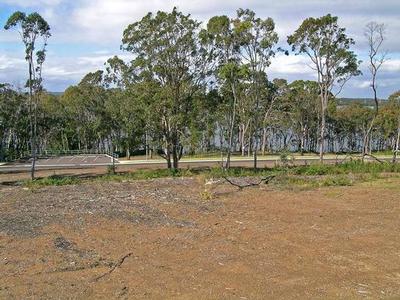 Potential Lake Views Picture