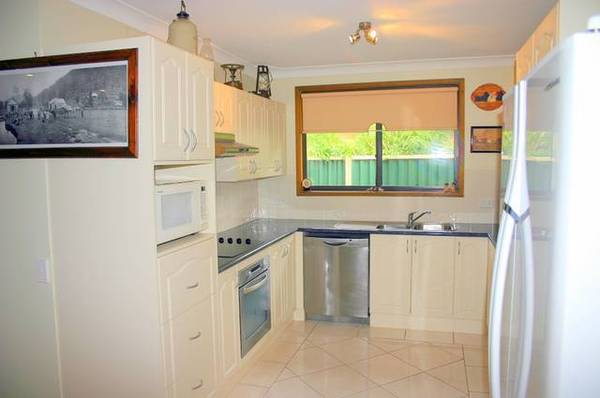 Immaculate Picture 2