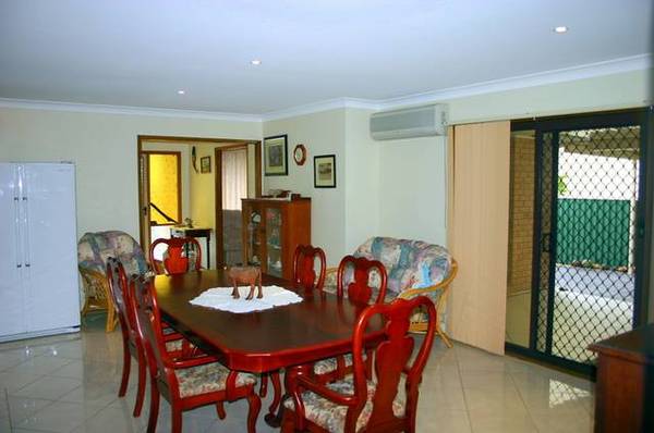 Immaculate Picture 3