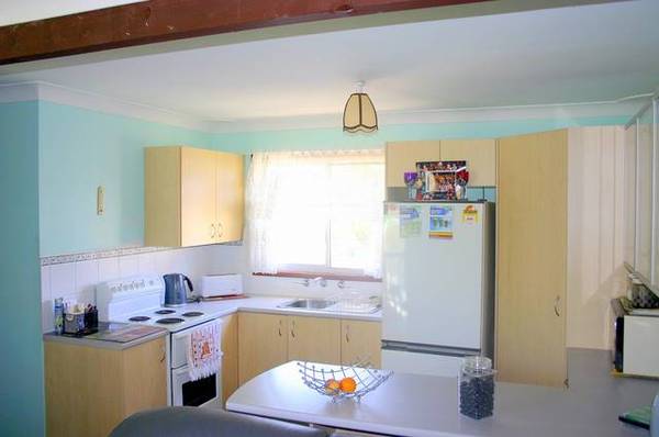 I Need Some LOVE and ATTENTION Picture 3