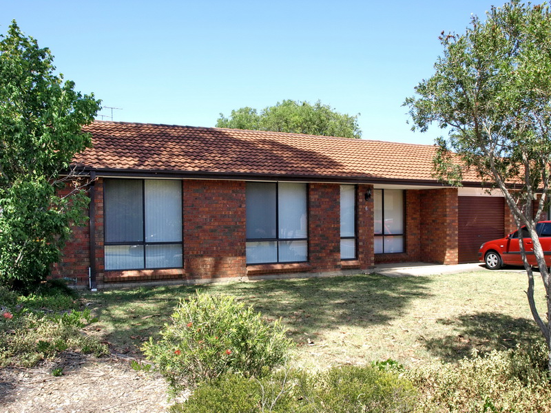 Look No Further! Picture 1