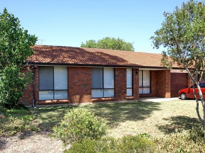 Look No Further! Picture