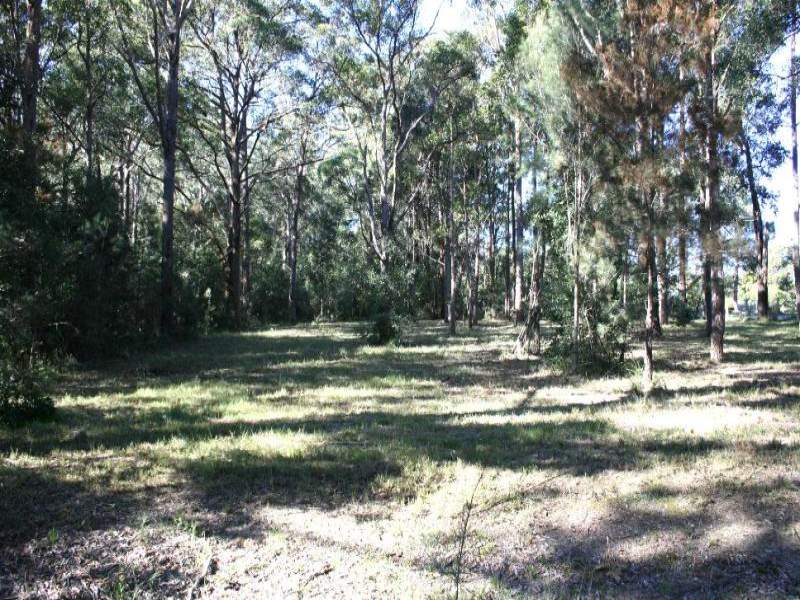 VACANT ALLOTMENT IN JERVIS BAY HINTERLAND Picture 3