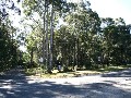 VACANT ALLOTMENT IN JERVIS BAY HINTERLAND Picture