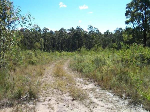 PRIVATE RURAL LAND - REDUCED - OFFERS INVITED! Picture