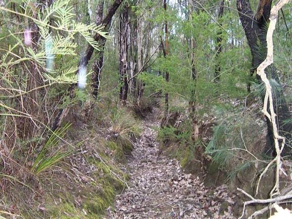 PRIVATE RURAL LAND - REDUCED - OFFERS INVITED! Picture PRIVATE RURAL LAND - REDUCED - OFFERS INVITED! Picture