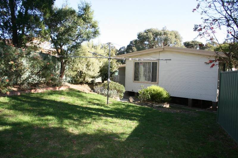 RENOVATED DELIGHT Picture 2