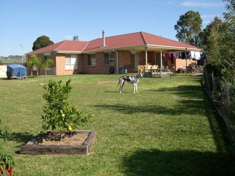 ROOM TO SWING A CAT Picture 3