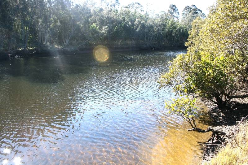 Waterfront Reserve - 100 acres Picture 2