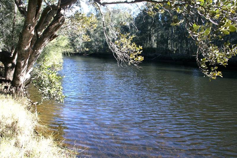 Waterfront Reserve - 100 acres Picture 3