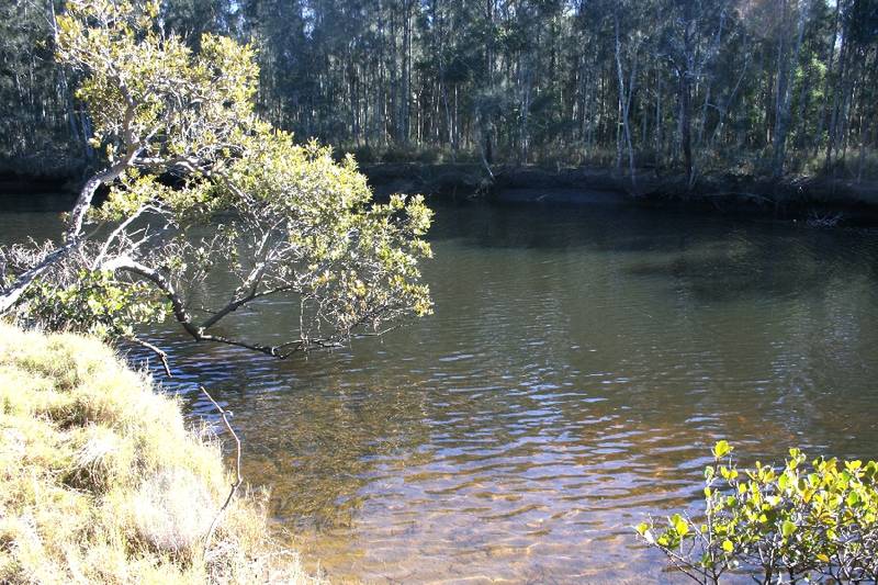 Waterfront Reserve - 100 acres Picture 1