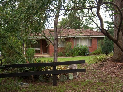 SNAP THIS ONE UP Picture