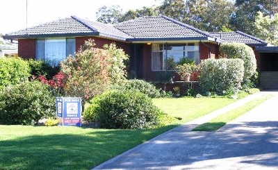 ENTERTAINER'S DELIGHT Picture