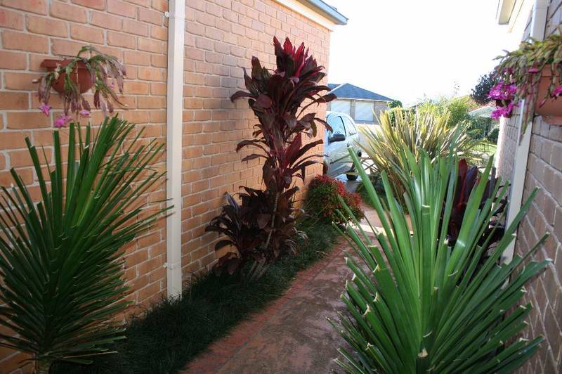 TWO HOUSES ONE TITLE Picture 3