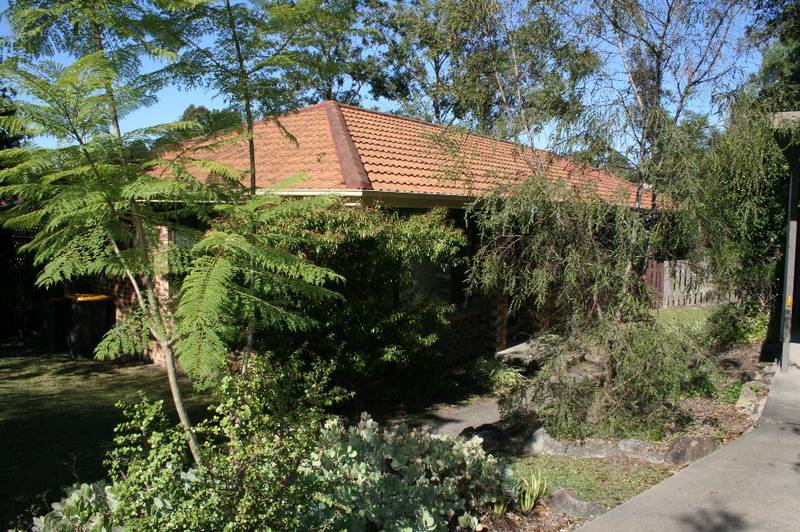 THE SIZE WILL SURPRISE Picture 2