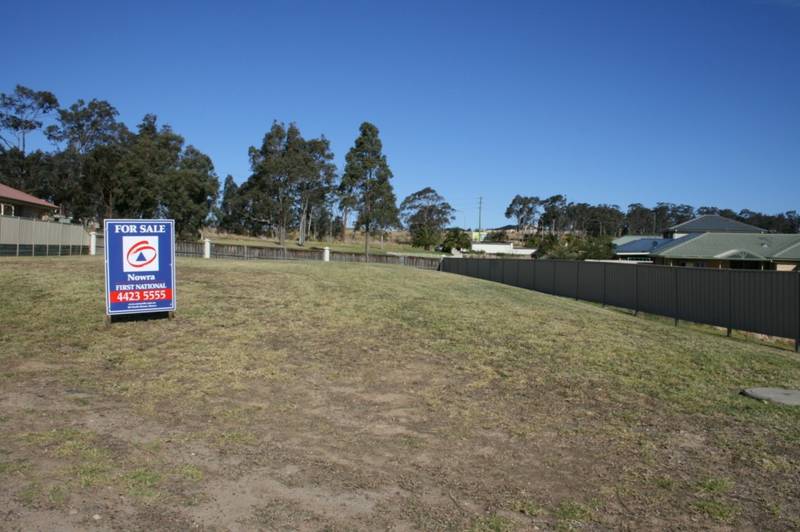 SUPER SIZE LAND Picture 2