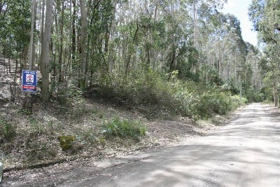 PRIVATE NATURAL BUSH ACREAGE Picture