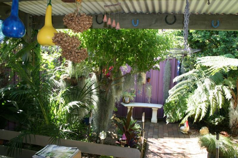 A Little Oasis Picture 2