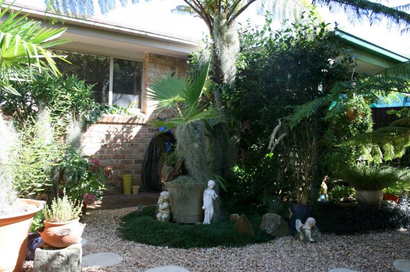 A Little Oasis Picture 1