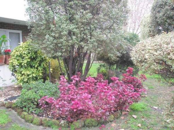 Spacious one bedroom Picture 2