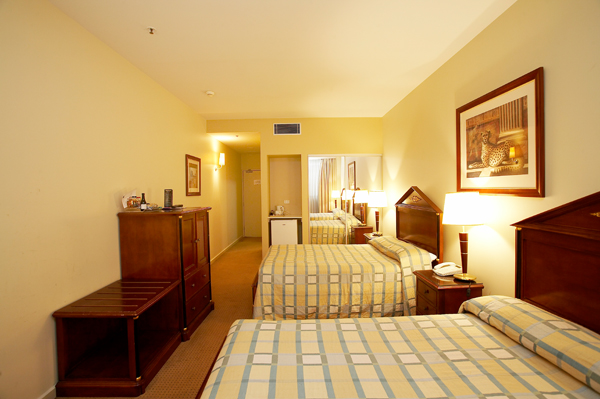 Solid Investment Picture 2