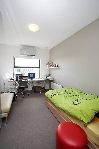 Great opportunity Picture 3