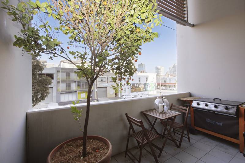 NORTH STAR SHINES BRIGHT Picture 2