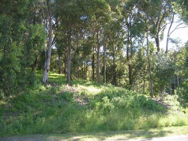 AMAZING 1498m2 BLOCK WITH DA APPROVED PLANS! Picture 2