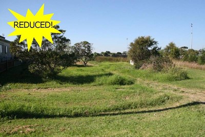 BEAUTIFUL BLACKSMITHS Picture