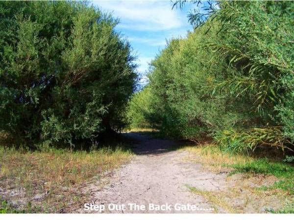 Limited Edition, Absolute Beachfront Reserve Colossal Home!! Picture 3