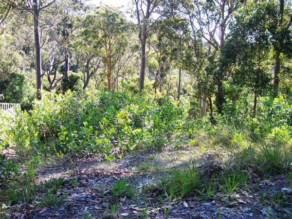 Scenic Possibilities. Picture 2