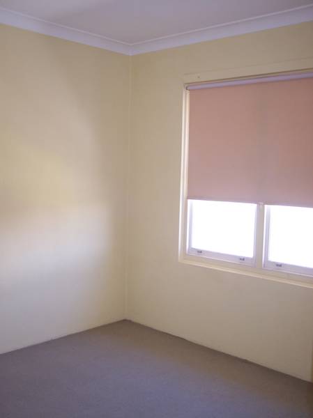 11/20 Pacific Highway Picture 11/20 Pacific Highway Picture