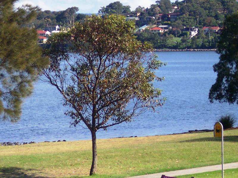 RARE OPPORTUNITY OFFERING LOCATION, VIEWS & SPACE Picture 3