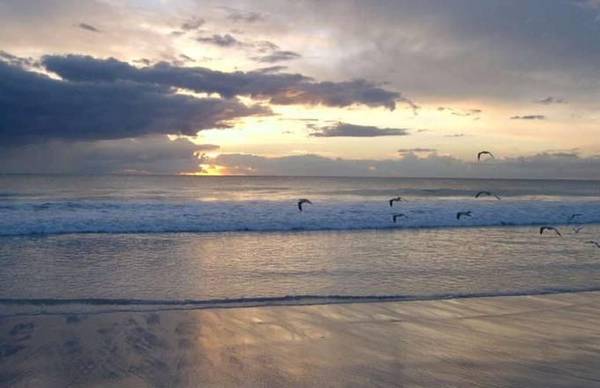 PRICE SMASHED!! Picture PRICE SMASHED!! Picture