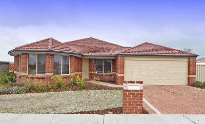 ROOM TO BRANCH OUT! Picture