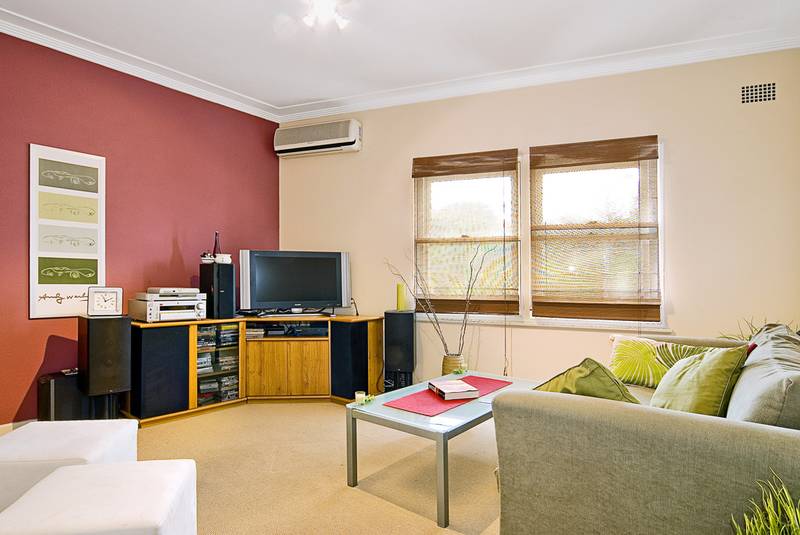 Beginner's Winner Picture 1