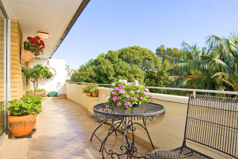 Hidden Beauty Picture 2