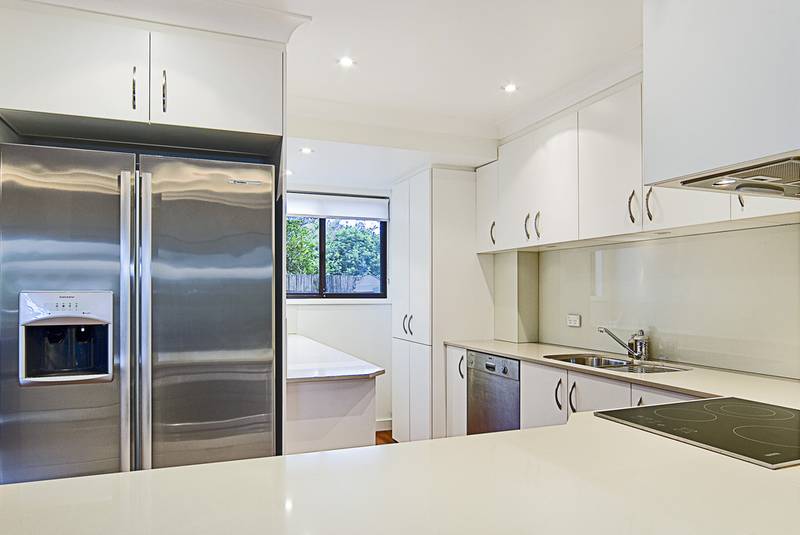 Immaculate Picture 3